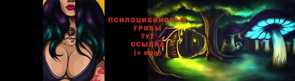 стафф Волосово
