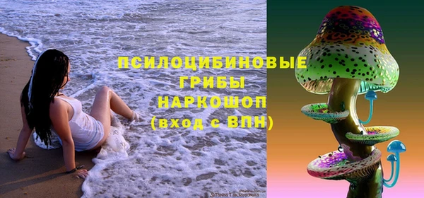 стафф Волосово